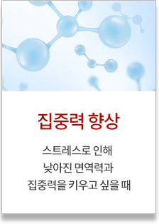 신경보호